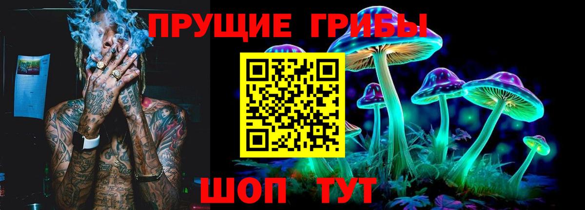 Псилоцибиновые грибы Psilocybe  Вход с VPN  Пенза 
